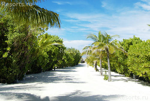 Full Moon Maldives 18